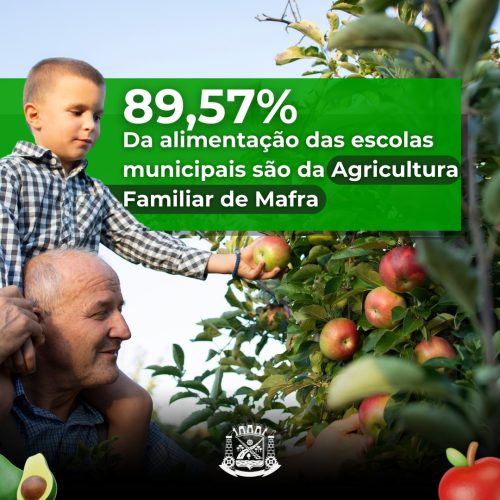 Produtos provenientes da agricultura familiar compõem cerca de 90% da alimentação escolar